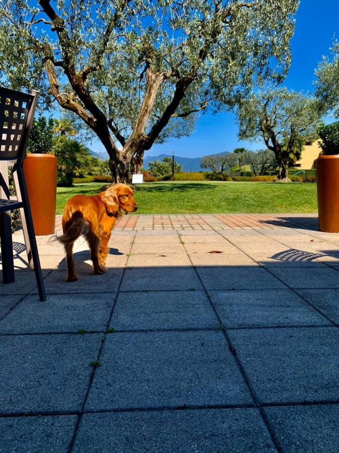 Hotel Ulivi Паратико Экстерьер фото